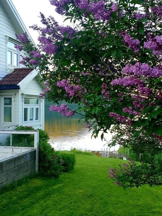 Kraemarvika Lodge Тромсё Экстерьер фото