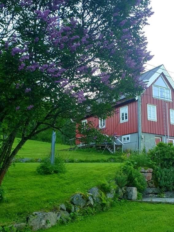 Kraemarvika Lodge Тромсё Экстерьер фото